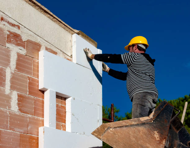 Best Eco-Friendly Insulation in Ridgemark, CA
