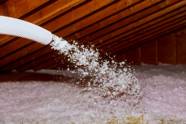 Best Insulation for Specific Applications in Ridgemark, CA