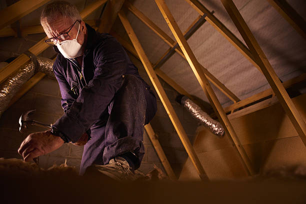 Best Geographic-Specific Insulation Services in Ridgemark, CA